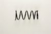 TOYOT 481311C050 Coil Spring